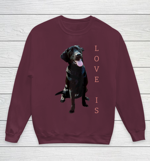 Dog Mom Shirt Labrador Retriever Shirt Women Men Kids Black Lab Dog Mom Youth Sweatshirt 4