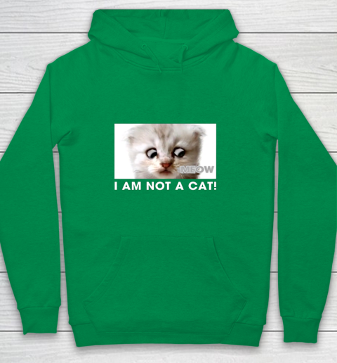 I am not a cat shirt funny video zoom call cat Youth Hoodie 4