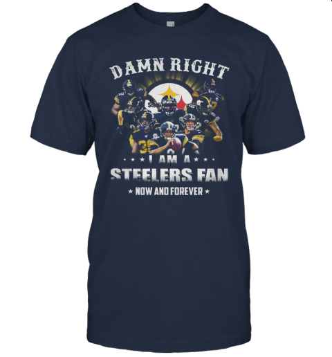 steelers fan store