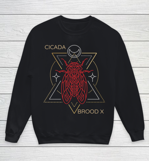 Cicada 2021 Funny tshirt Brood X Magical Lunar Line Drawing Youth Sweatshirt