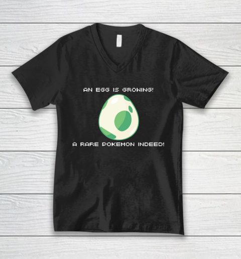 Mother's Day Funny Gift Ideas Apparel  An Egg is Growing Mom V-Neck T-Shirt