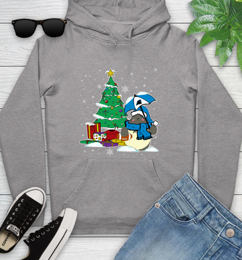 Carolina Panthers NFL Football Cute Tonari No Totoro Christmas Sports Youth Hoodie 6