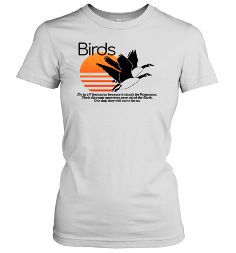 Birds Fly In A V Formation Because It Stands For Vengeance Women's T-Shirt