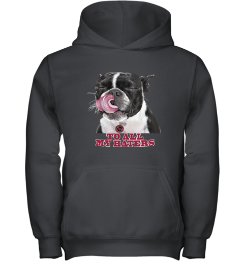 Arizona Cardinals To All My Haters Dog Licking Youth Hoodie