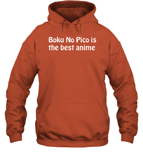 Boku No Pico Is The Best Anime Hoodie – Lovelitee