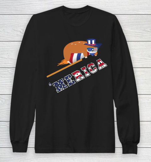 Independence Day Merica Sloth 4th of July Patriotic America Long Sleeve T-Shirt