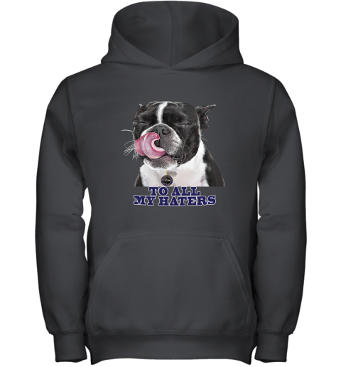 Baltimore Ravens To All My Haters Dog Licking Youth Hoodie