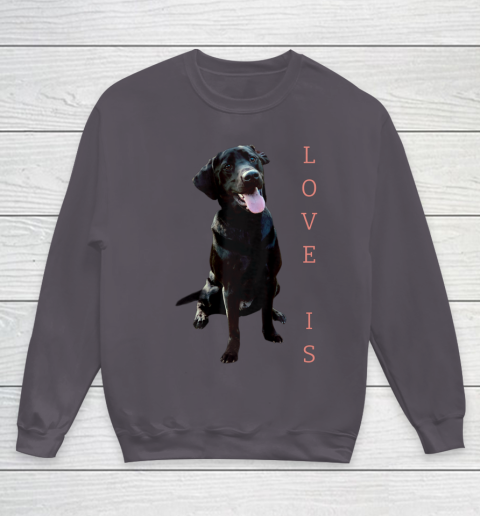 Dog Mom Shirt Labrador Retriever Shirt Women Men Kids Black Lab Dog Mom Youth Sweatshirt 5