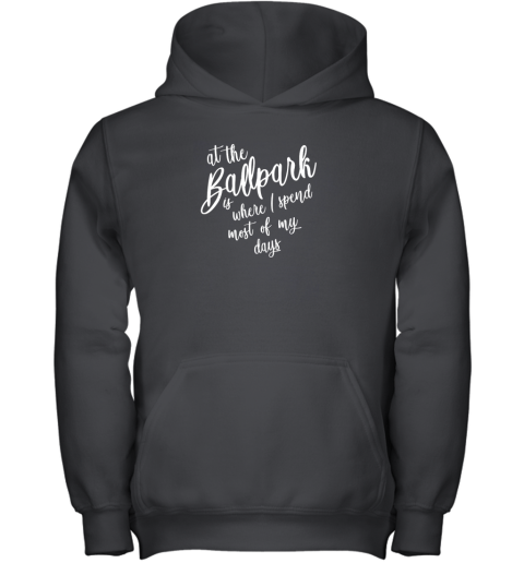 Baseball Softball Mom Hoodie At The Ballpark Spend Most Of My Youth Hoodie