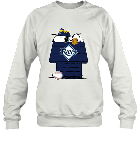 Personalized Tampa Bay Rays 3D Hoodie For Tampa Bay Rays Fan - T-shirts Low  Price