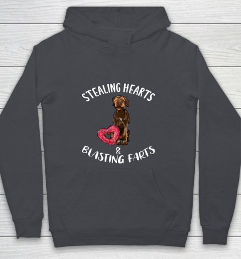 Stealing Hearts Blasting Farts Wirehaired Pointing Griffon Youth Hoodie 5