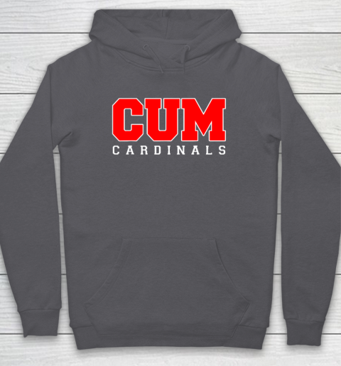 CUM Cardinals Christian University Michigan Hoodie 4
