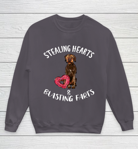 Stealing Hearts Blasting Farts Wirehaired Pointing Griffon Youth Sweatshirt 5