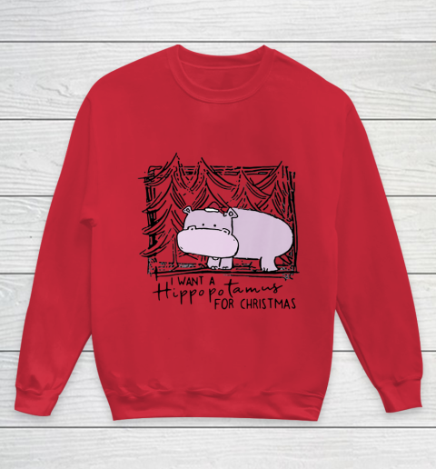 I Want A Hippopotamus For Christmas Hippo for Kid Women Men Youth Sweatshirt 4