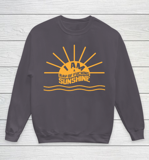 I am a Ray of fucking Sunshine Youth Sweatshirt 5