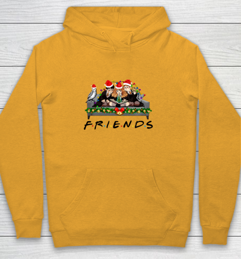 Friends harry potter hoodie outlet