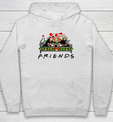 Friends Christmas Harry Potter, Hermione And Ron Hoodie