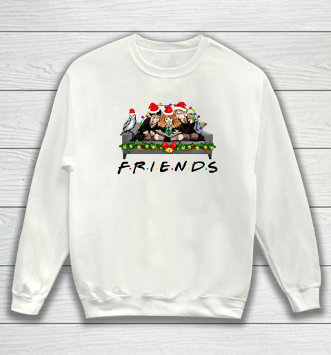 Friends Christmas Harry Potter, Hermione And Ron Sweatshirt