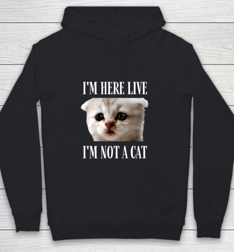 I m Here Live I m Not A Cat Funny Cat Lawyer I m Not A Cat Youth Hoodie