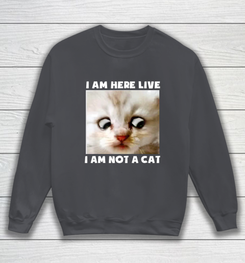 I Am Here Live I Am Not A Cat Funny Lawyer Cat Meme Sweatshirt 4