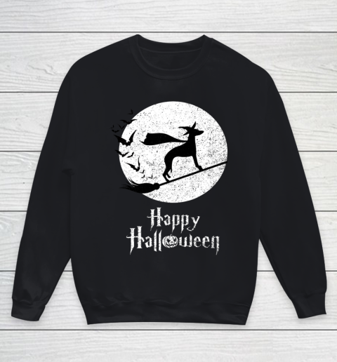 Funny Halloween Costume Witch WHIPPET Dog Lover Gift Youth Sweatshirt