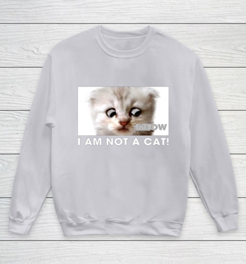I am not a cat shirt funny video zoom call cat Youth Sweatshirt 3