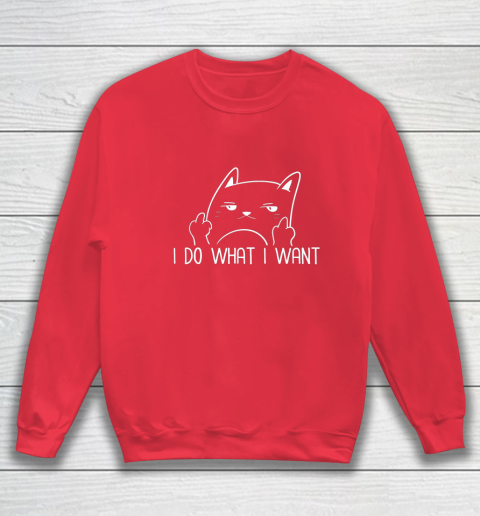 Middle finger cat sweater 2025
