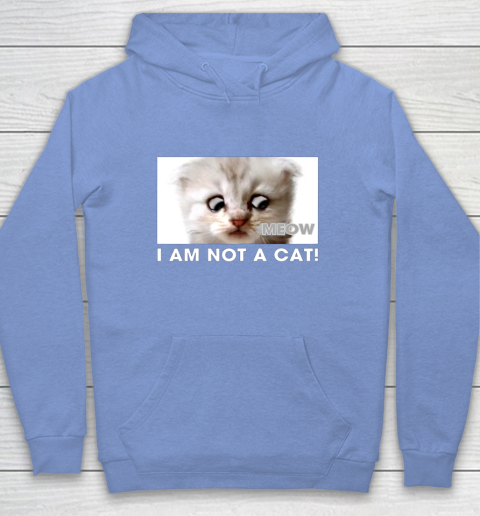 I am 2025 a cat hoodie