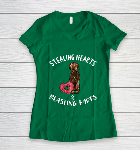 Stealing Hearts Blasting Farts Wirehaired Pointing Griffon Women's V-Neck T-Shirt 3