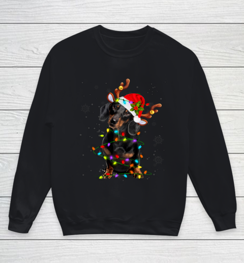 Christmas Cute Daschund With Christmas Lights Youth Sweatshirt