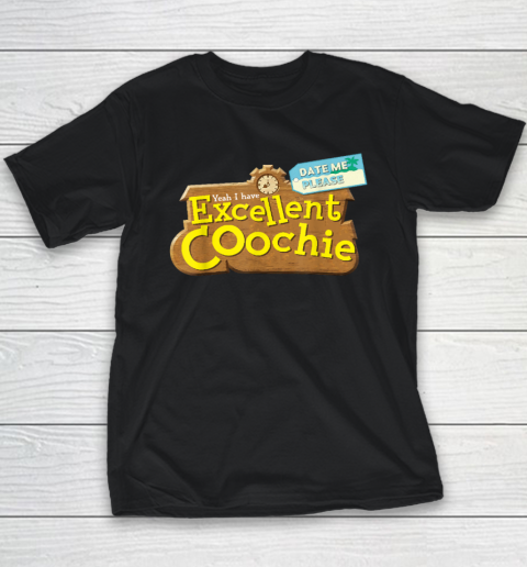 Date Me Please Yeah I Have Excellent Coochie Funny Saying Youth T-Shirt