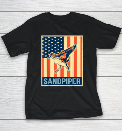 Vintage US Flag Sandpiper Youth T-Shirt