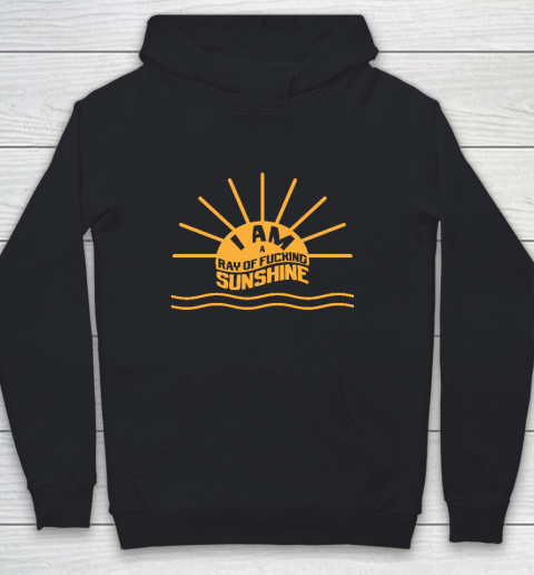 I am a Ray of fucking Sunshine Youth Hoodie