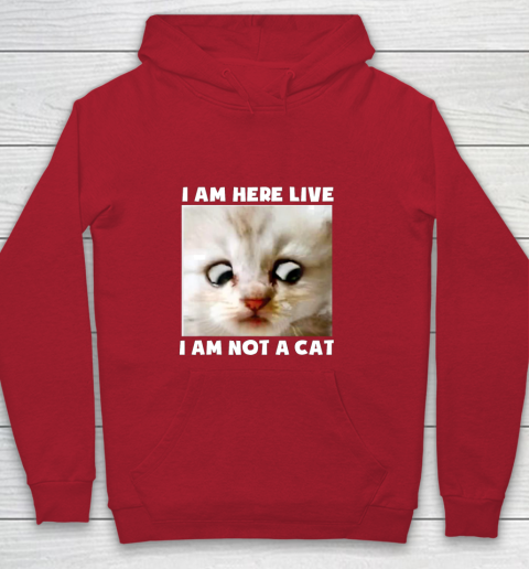 The british online are here hoodie
