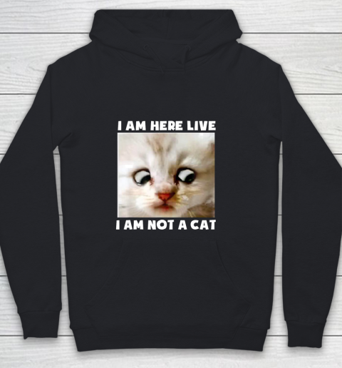 I Am Here Live I Am Not A Cat Funny Lawyer Cat Meme Youth Hoodie