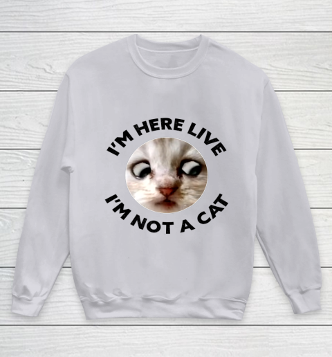 I m Here Live I m Not a Cat Zoom Cat Meme Humor Gifts Youth Sweatshirt 2