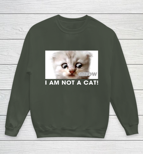 I am not a cat shirt funny video zoom call cat Youth Sweatshirt 8