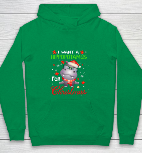 I Want A Hippopotamus For Christmas Funny Hippo Gifts Youth Hoodie 4