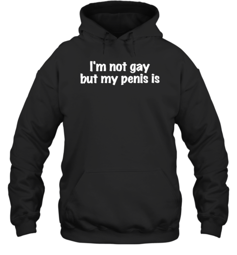 I'm Not Gay But My Penis Is Hoodie