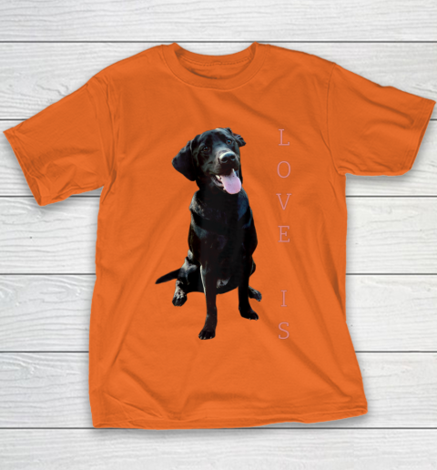Dog Mom Shirt Labrador Retriever Shirt Women Men Kids Black Lab Dog Mom Youth T-Shirt 4