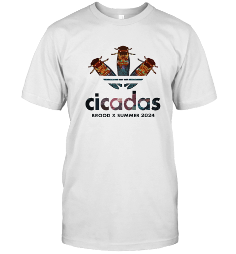 Cicadas BROOD X SUMMER Cicada 2024 T-Shirt