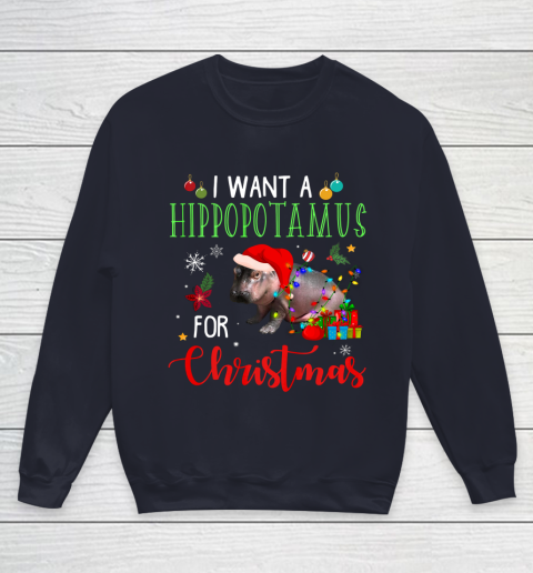 I Want A Hippopotamus For Christmas Hippo Fiona Youth Sweatshirt 2