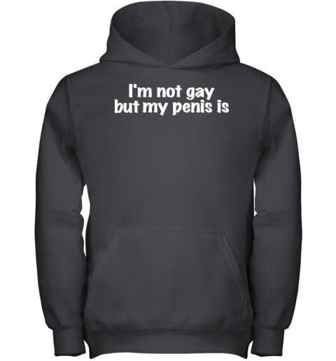 I'm Not Gay But My Penis Is Youth Hoodie