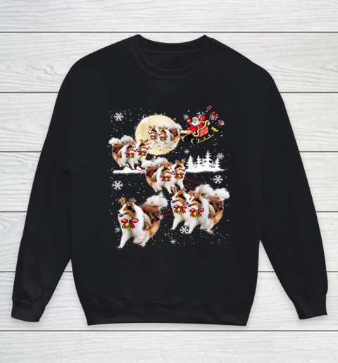 Sheltie Reindeer Christmas Nice Dog Youth Sweatshirt