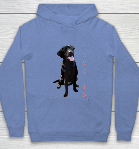 Dog Mom Shirt Labrador Retriever Shirt Women Men Kids Black Lab Dog Mom Youth Hoodie 8