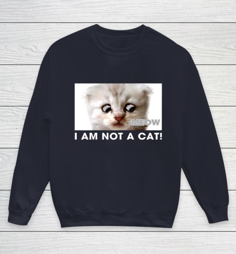 I am not a cat shirt funny video zoom call cat Youth Sweatshirt 2