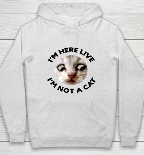 I m Here Live I m Not a Cat Zoom Cat Meme Humor Gifts Hoodie