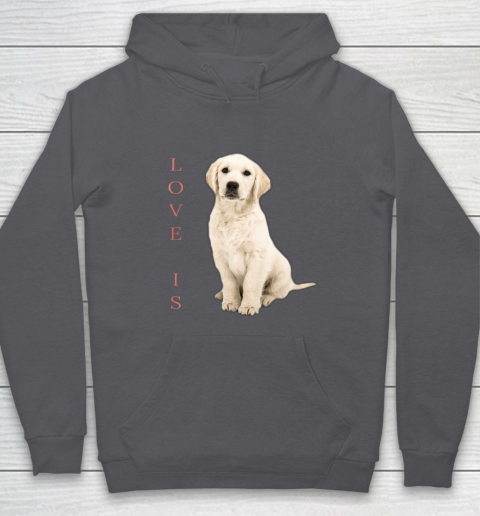 Labrador hoodie online