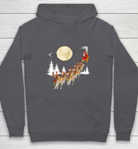 Golden Retriever Reindeer Christmas Hoodie 4