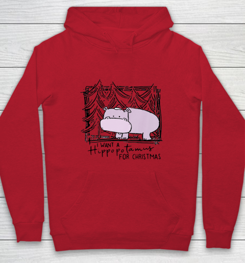 I Want A Hippopotamus For Christmas Hippo for Kid Women Men Hoodie 6